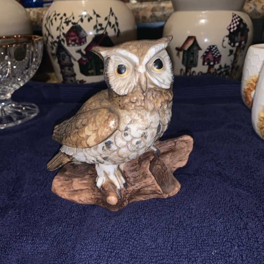 Owl